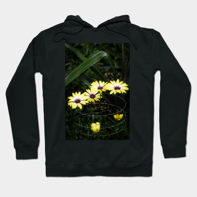 Yellow Cape Marguerite Daisy Geometric Hoodie by Robtography